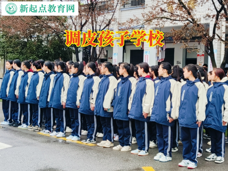 調皮孩子學校，調皮孩子學校建議這樣制止孩子賭博