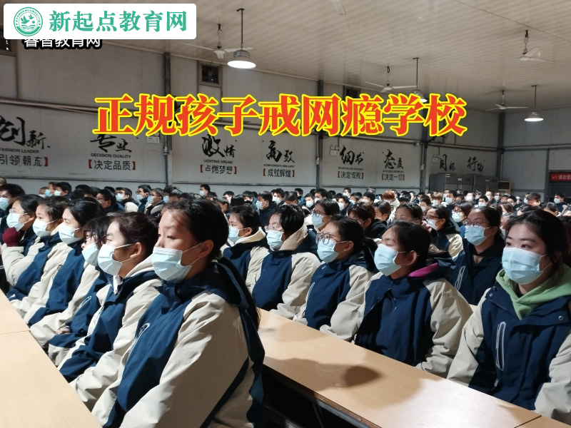 正規孩子戒網癮學校，正規孩子戒網癮學校分析孩子沉迷手機的危害