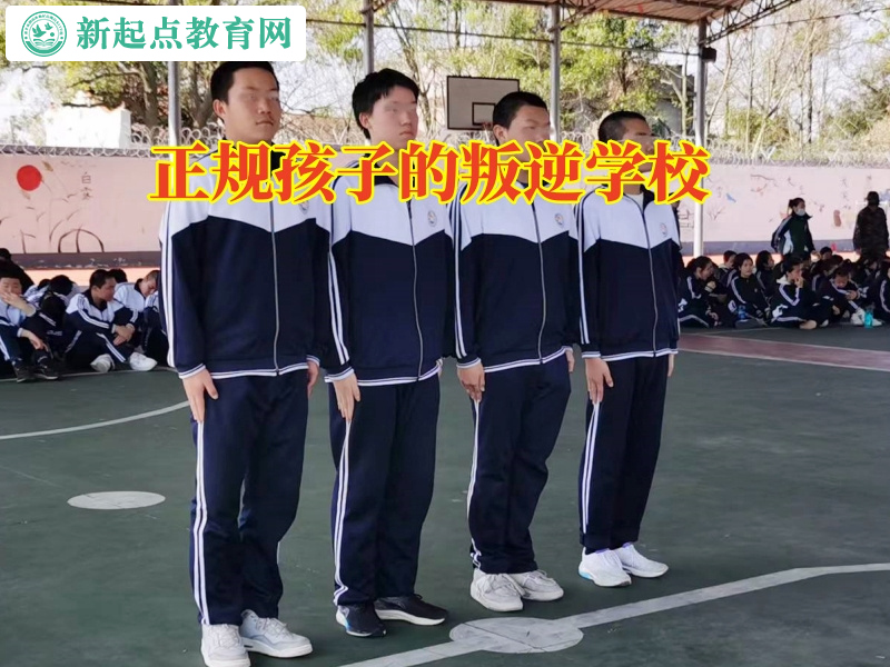 正規孩子的叛逆學校分析孩子脾氣暴躁的原因 正規孩子的叛逆學校分析孩子脾氣暴躁的原因