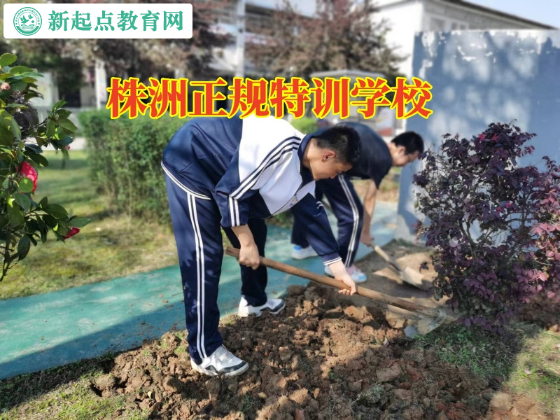 株洲正規(guī)特訓學校分析孩子膽子小的原因