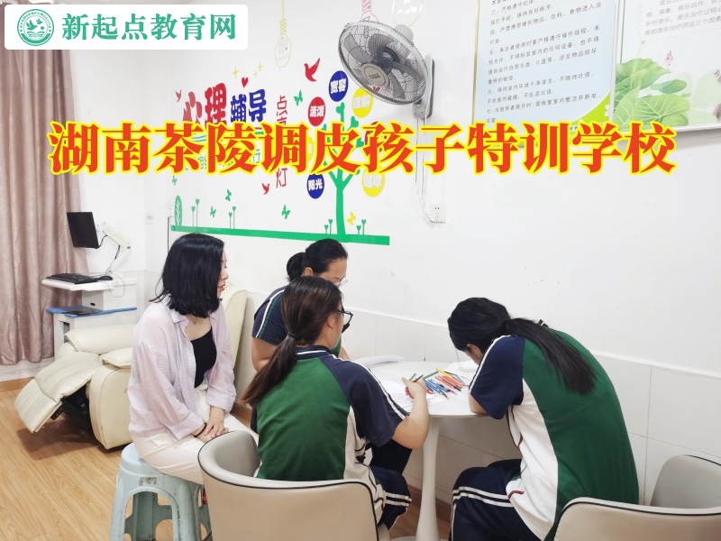 湖南茶陵調皮孩子特訓學校建議這樣解決孩子打架問題