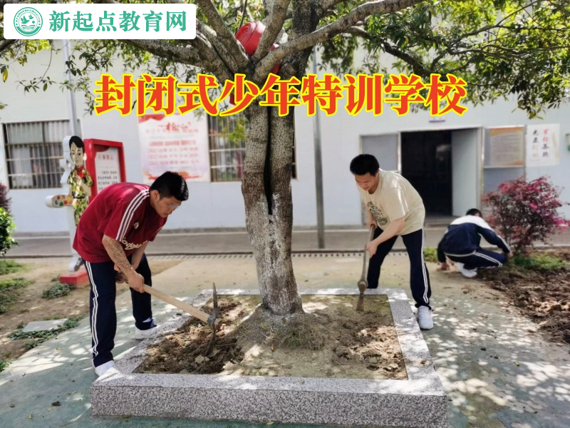 封閉式少年特訓學校這樣教育愛偷東西的熊孩子