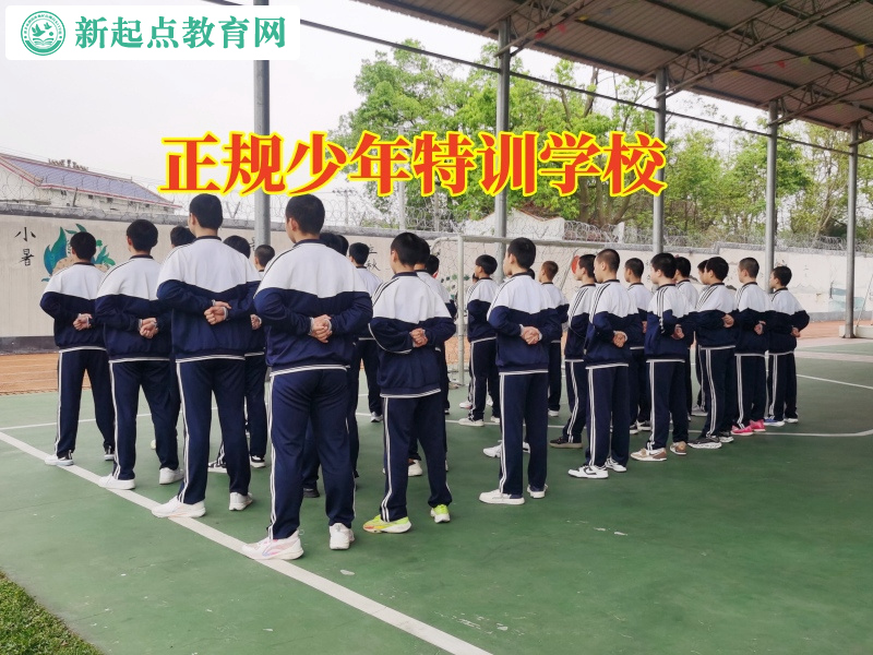 正規少年特訓學校分析孩子沒主見的危害