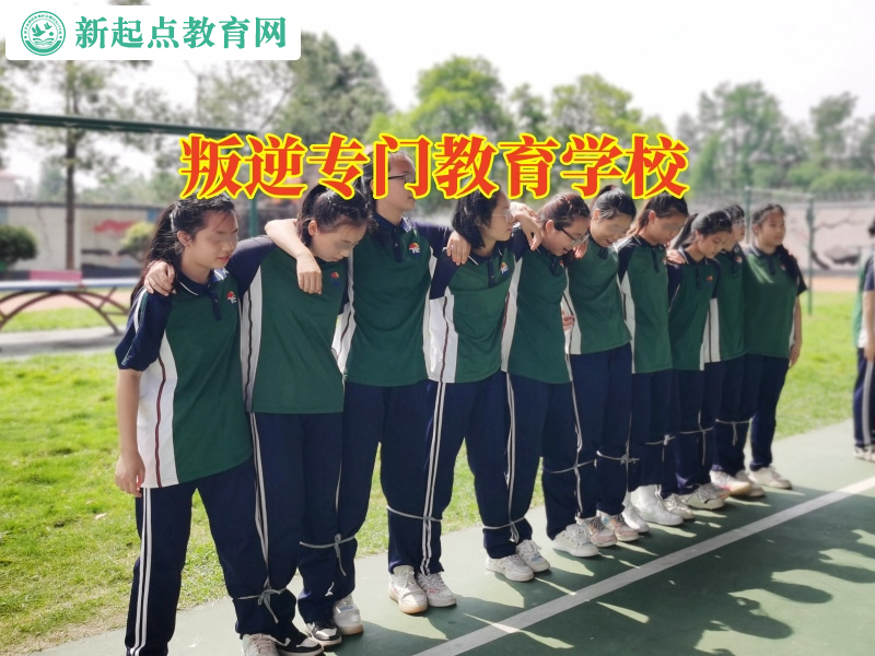 叛逆專門教育學校處理孩子不聽話的正確方式 叛逆專門教育學校處理孩子不聽話的正確方式