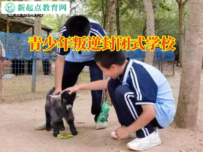 青少年叛逆封閉式學校三招解決孩子頂撞問題 青少年叛逆封閉式學校三招解決孩子頂撞問題