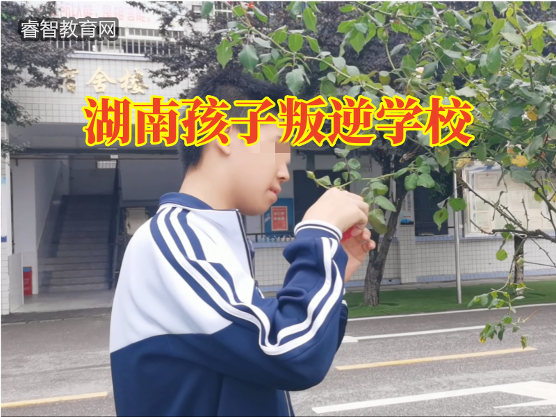 湖南孩子叛逆學校教您教育頂撞的孩子