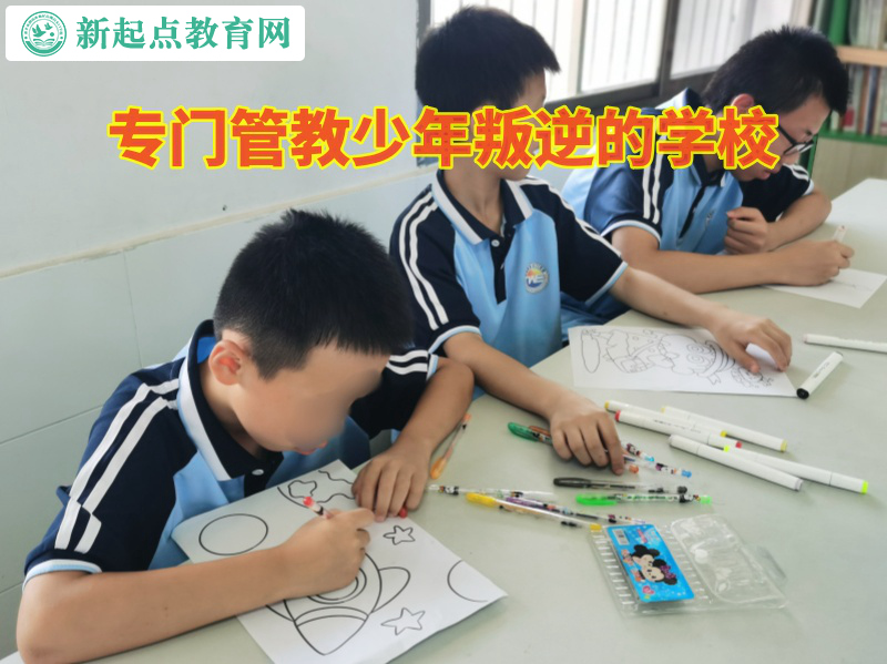 專門管教少年叛逆的學(xué)校闡述孩子打架原因