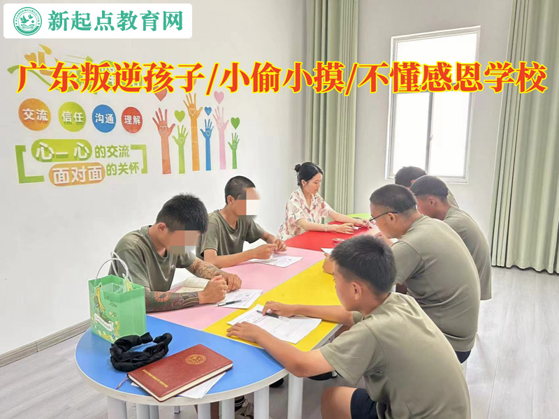 廣東叛逆孩子學校分析孩子偷盜行為