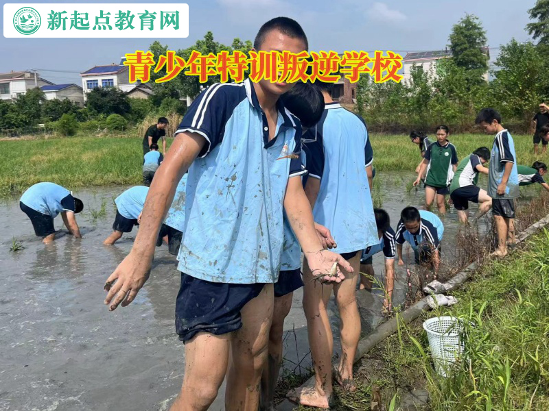 青少年特訓叛逆學校告訴孩子不能亂交朋友 青少年特訓叛逆學校告訴孩子不能亂交朋友