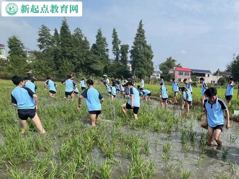 青少年叛逆改變學(xué)校組織抓魚活動(dòng)