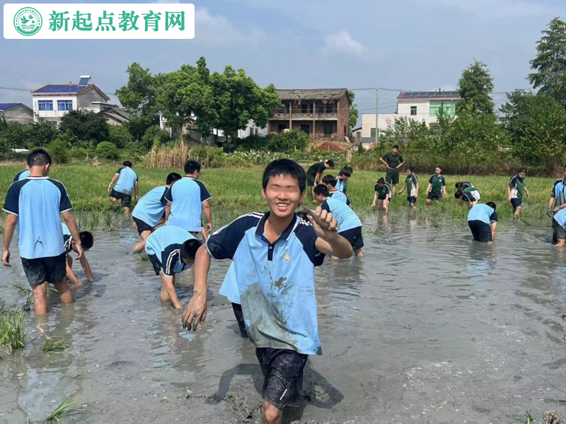 青少年叛逆改變學(xué)校組織抓魚活動(dòng)