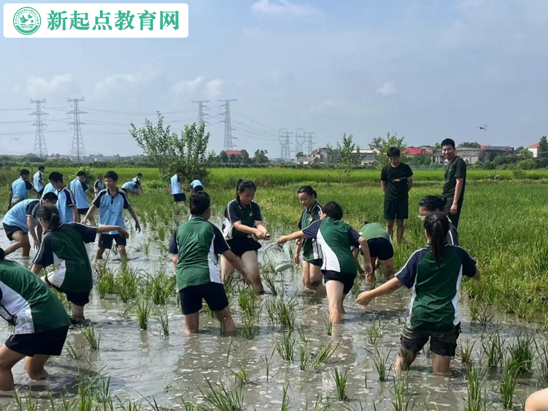 青少年叛逆改變學(xué)校組織抓魚活動(dòng)