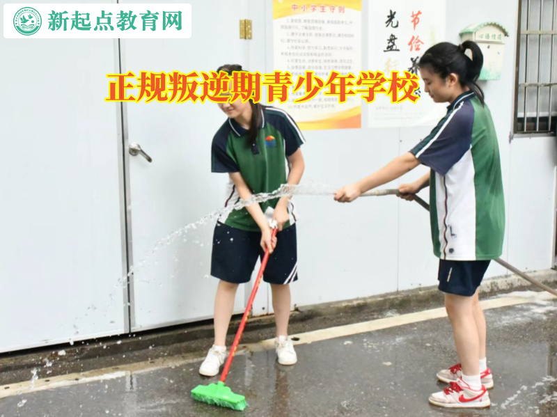 正規叛逆期青少年學校教家長教育有輕生傾向孩子