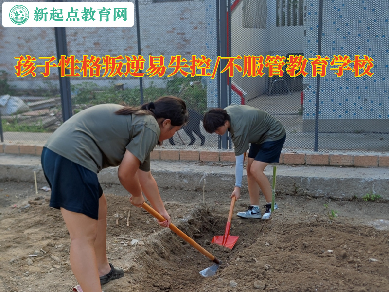 孩子性格叛逆教育學校糾正孩子失控打砸東西行為 孩子性格叛逆教育學校糾正孩子失控打砸東西行為