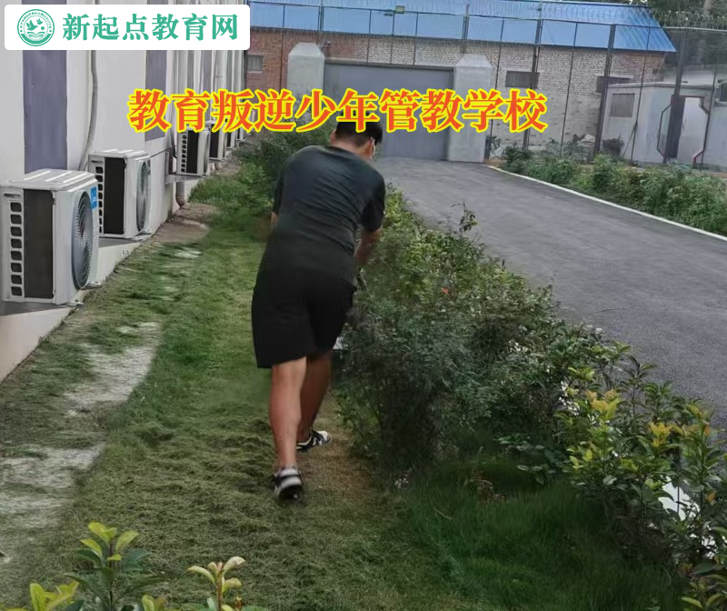 教育叛逆少年管教學(xué)校矯正孩子不寫作業(yè)