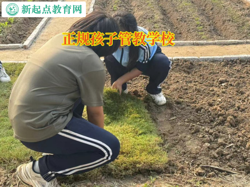 正規(guī)孩子管教學(xué)校培養(yǎng)孩子獨(dú)立能力