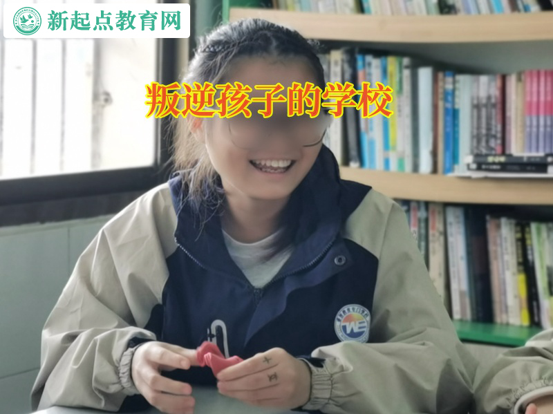 叛逆孩子的學校矯正孩子輟學想法