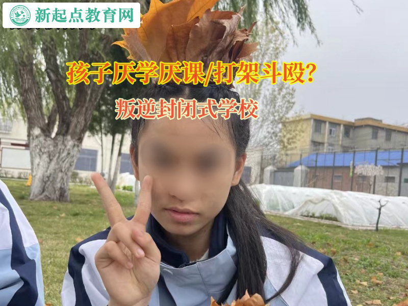 叛逆封閉式學校矯正孩子不愛寫作業這個惡習