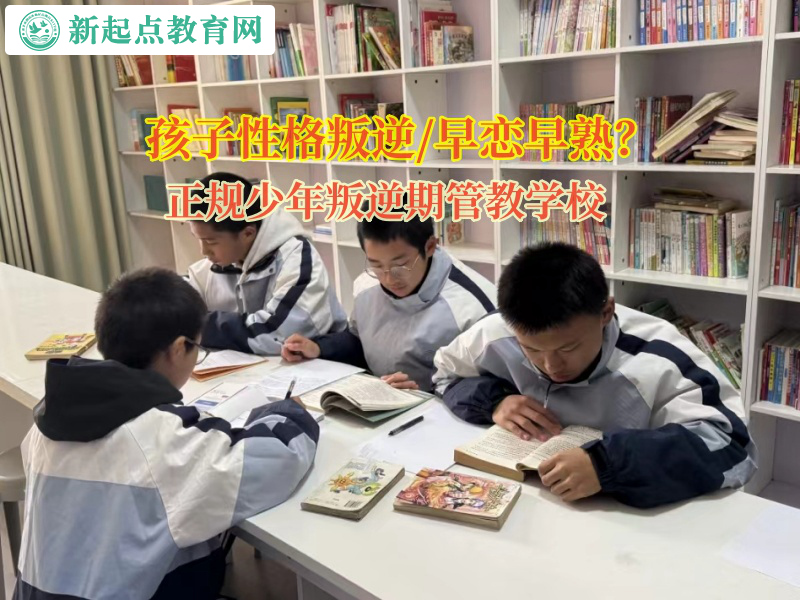 正規少年叛逆期管教學校矯正孩子網戀的行為