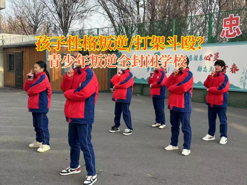 青少年叛逆全封閉學校矯正孩子打架問題 青少年叛逆全封閉學校矯正孩子打架問題