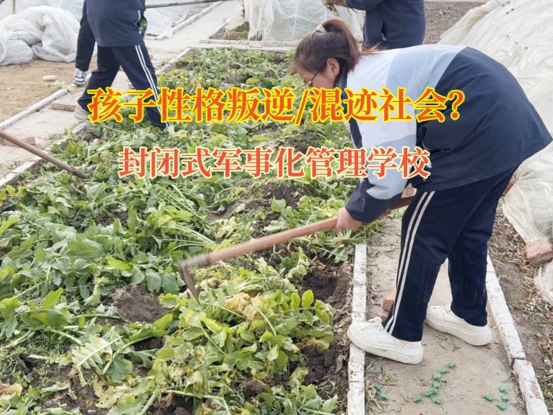 封閉式軍事化管理學校矯正孩子易怒的情緒 封閉式軍事化管理學校矯正孩子易怒的情緒