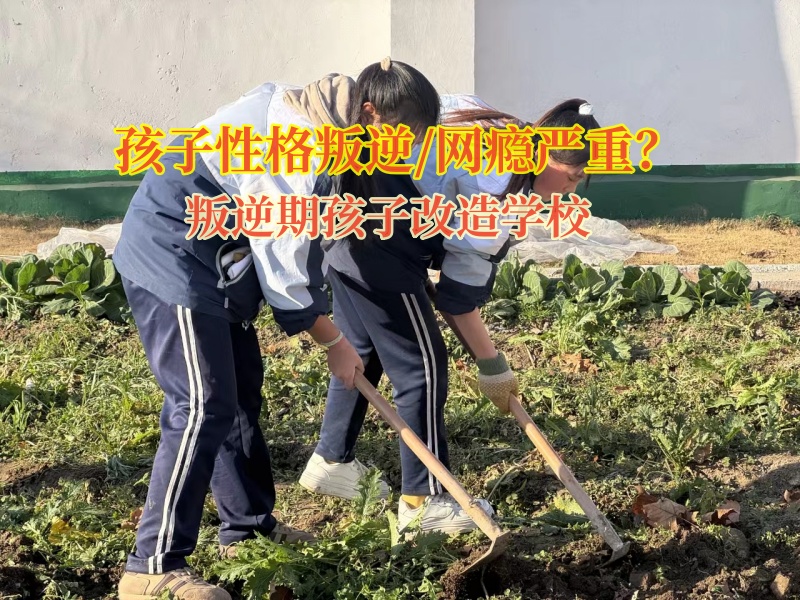 叛逆期孩子改造學校磨煉孩子意志的建議 叛逆期孩子改造學校磨煉孩子意志的建議