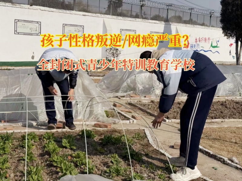 全封閉式青少年特訓(xùn)教育學(xué)校幫助孩子遠(yuǎn)離網(wǎng)絡(luò)色情