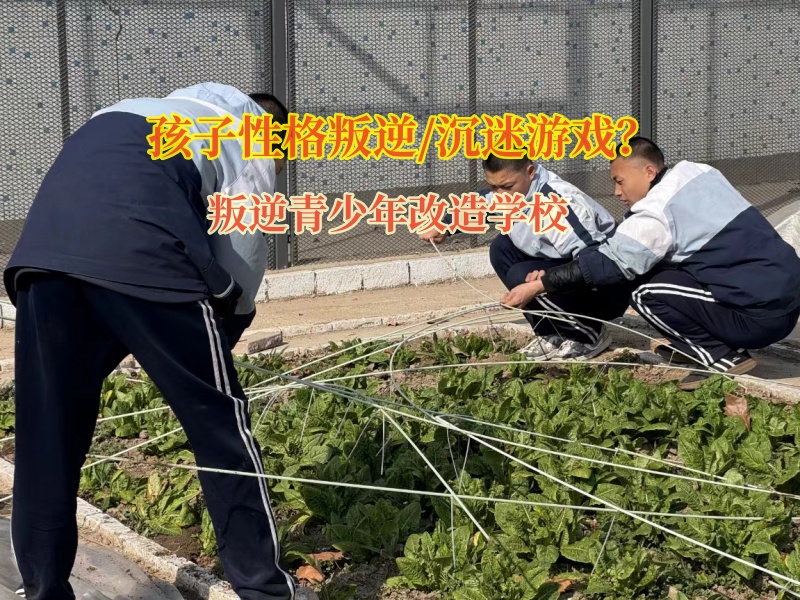 叛逆青少年改造學校矯正不服家長管的孩子 叛逆青少年改造學校矯正不服家長管的孩子