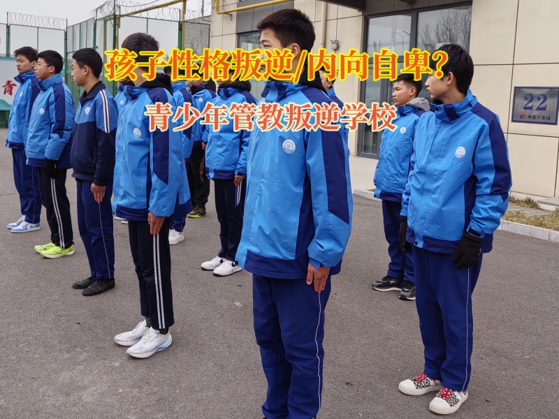 青少年管教叛逆學(xué)校幫助孩子克服膽小的問(wèn)題 青少年管教叛逆學(xué)校幫助孩子克服膽小的問(wèn)題