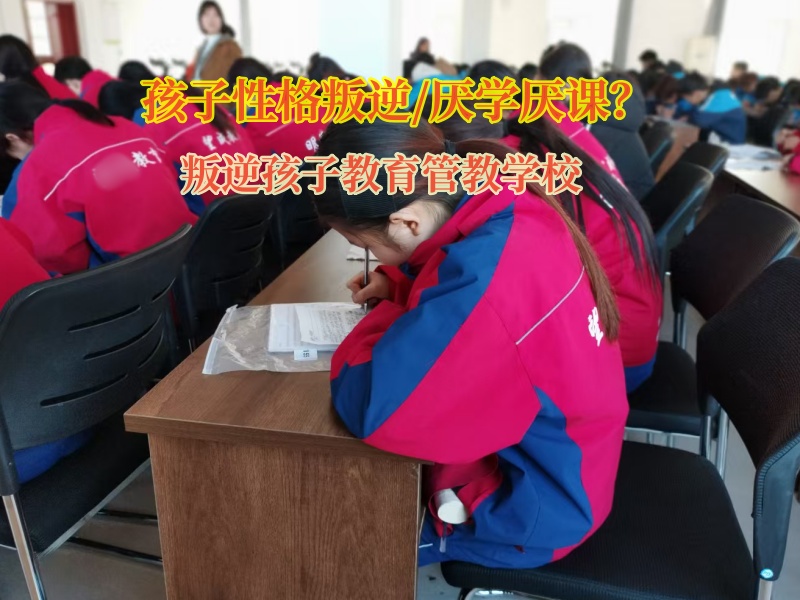 叛逆孩子教育管教學校引導孩子重新找回學習的動力 叛逆孩子教育管教學校引導孩子重新找回學習的動力