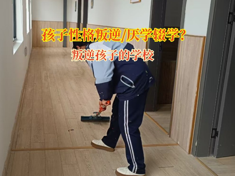 叛逆孩子的學校糾正孩子輟學想法