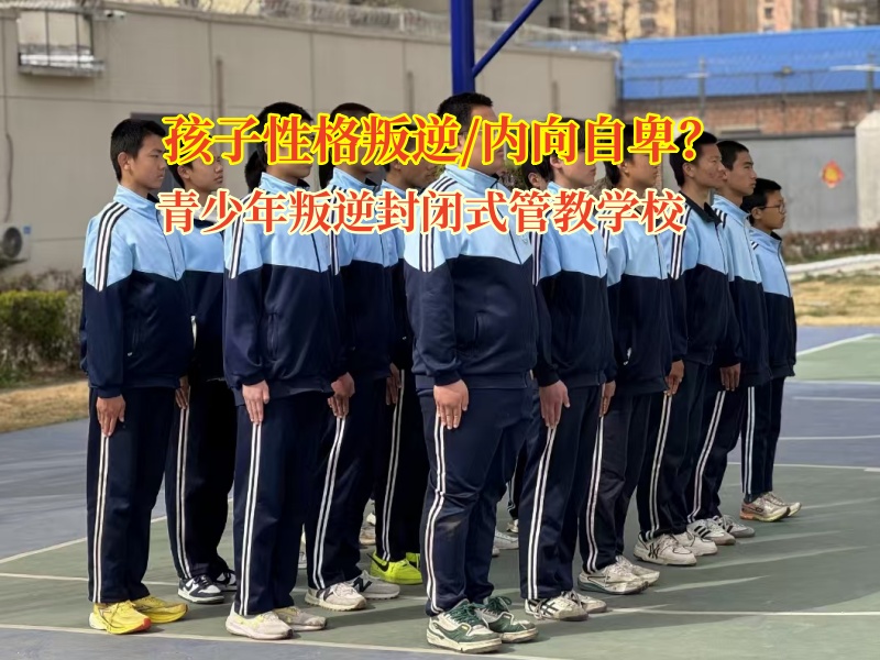 青少年叛逆封閉式管教學校幫助孩子調節焦慮情緒