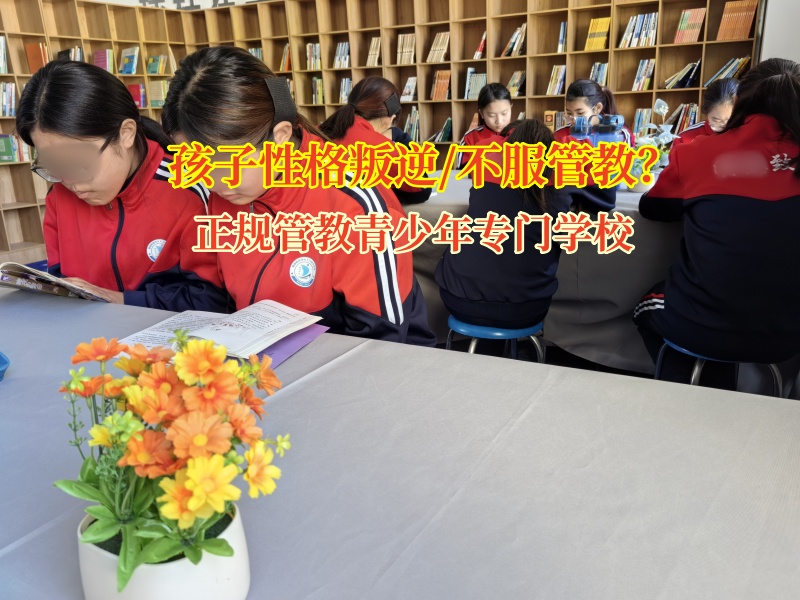 正規管教青少年專門學校解決孩子不服管問題 正規管教青少年專門學校解決孩子不服管問題