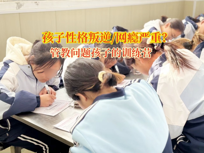 管教問題孩子的訓練營智慧引導孩子走出抑郁情緒 管教問題孩子的訓練營智慧引導孩子走出抑郁情緒