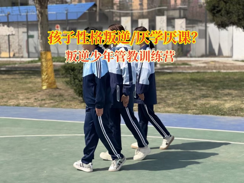 叛逆少年管教訓練營助力孩子重拾學習熱情 叛逆少年管教訓練營助力孩子重拾學習熱情