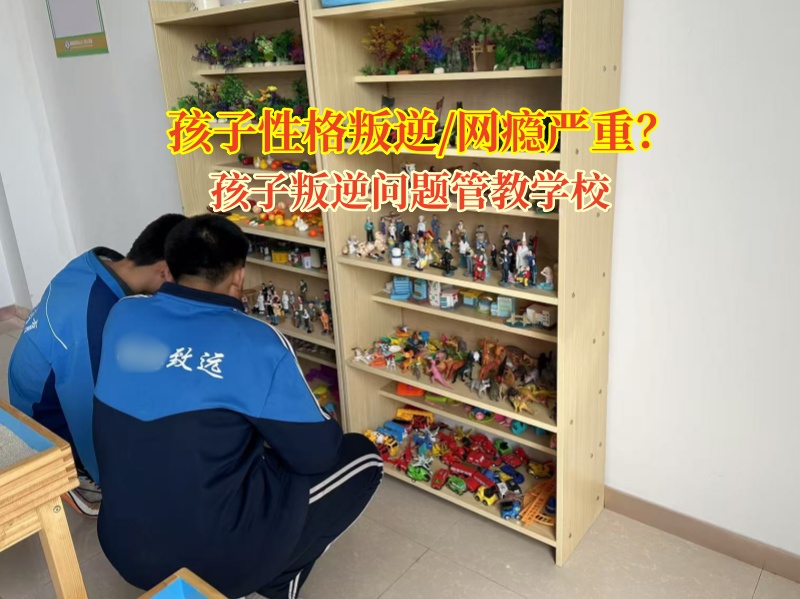 叛逆孩子封閉式特訓(xùn)營(yíng)破解青春期自私難題 叛逆孩子封閉式特訓(xùn)營(yíng)破解青春期自私難題