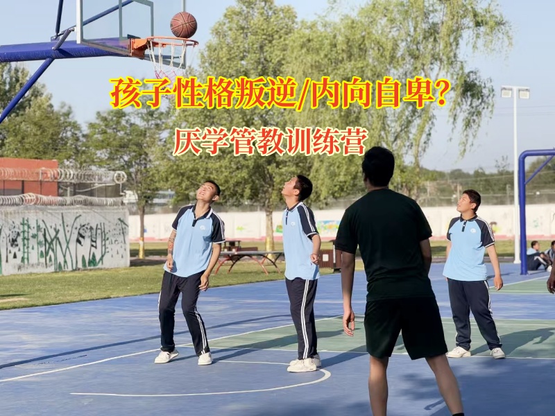 厭學管教訓練營有效疏導孩子走出抑郁陰影