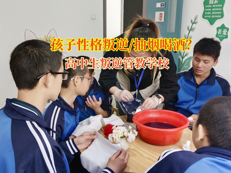高中生叛逆管教學校助力青少年遠離叛逆與不良習慣