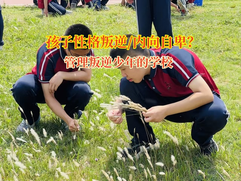 管理叛逆少年的學校幫助孩子從自卑到開朗 管理叛逆少年的學校幫助孩子從自卑到開朗