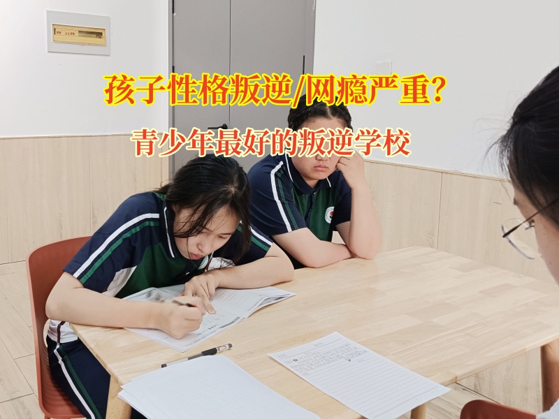 青少年最好的叛逆學校應對青少年手機成癮