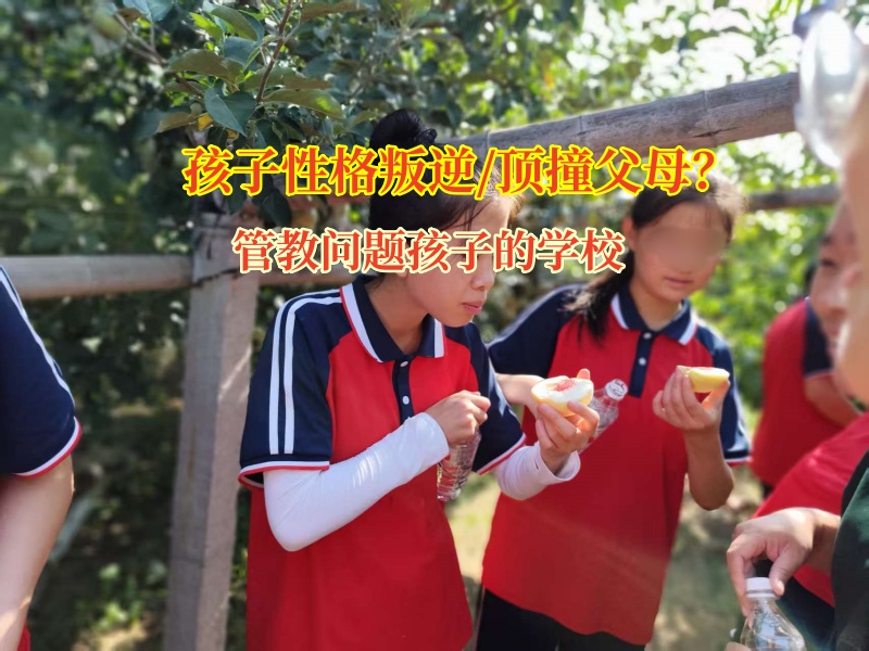 叛逆期孩子頂嘴?管教問題孩子的學(xué)校有妙招