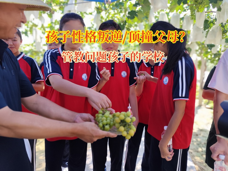 叛逆期孩子頂嘴不用愁,管教問(wèn)題孩子的學(xué)校來(lái)助力 叛逆期孩子頂嘴不用愁,管教問(wèn)題孩子的學(xué)校來(lái)助力