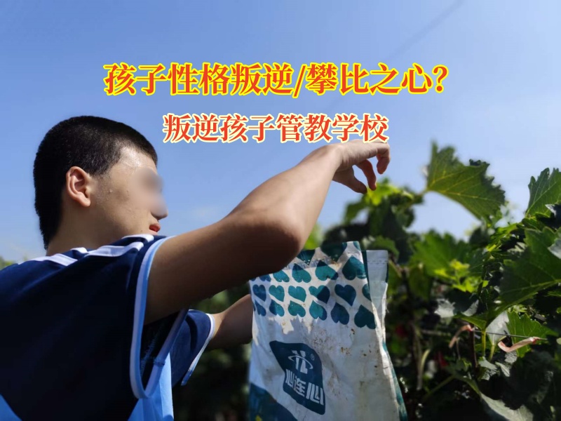 破攀比迷霧，叛逆孩子管教學校引叛逆少年歸正途