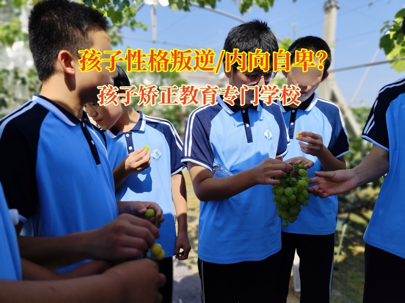 孩子矯正教育專門學校矯正怪異之行,鋪就成長坦途 孩子矯正教育專門學校矯正怪異之行,鋪就成長坦途