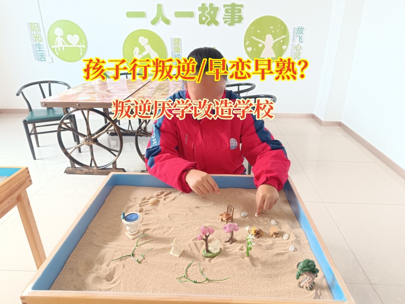 叛逆厭學(xué)改造學(xué)校幫助孩子走出早戀關(guān)系