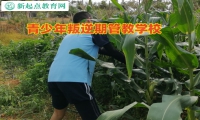 青少年叛逆期管教學校幫助孩子走出沉迷網絡游戲誤區