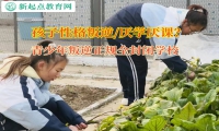 青少年叛逆正規(guī)全封閉學(xué)校矯正厭學(xué)孩子問(wèn)題