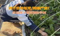 改造孩子叛逆期的學校應對青少年暴躁問題